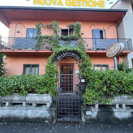 B&B La Casa Di Zia Lina Monsummano Terme Luaran gambar