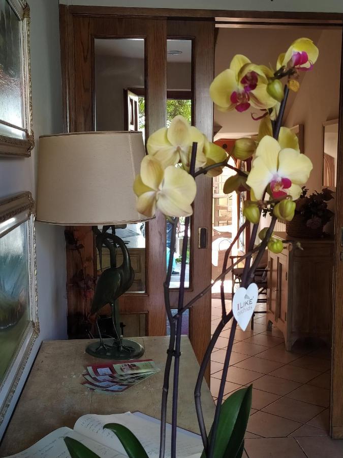 B&B La Casa Di Zia Lina Monsummano Terme Luaran gambar